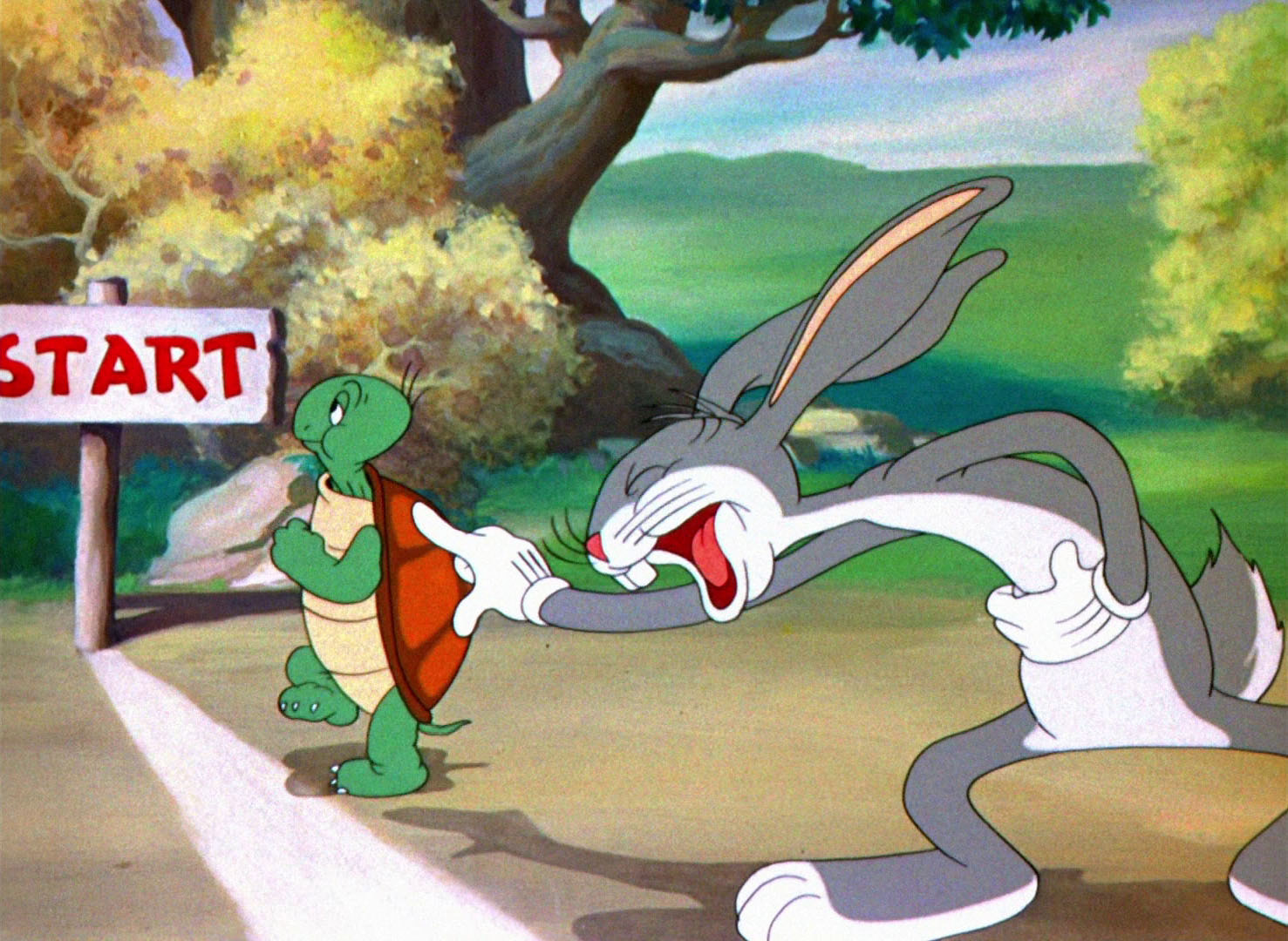23-tortoise-hare.jpg