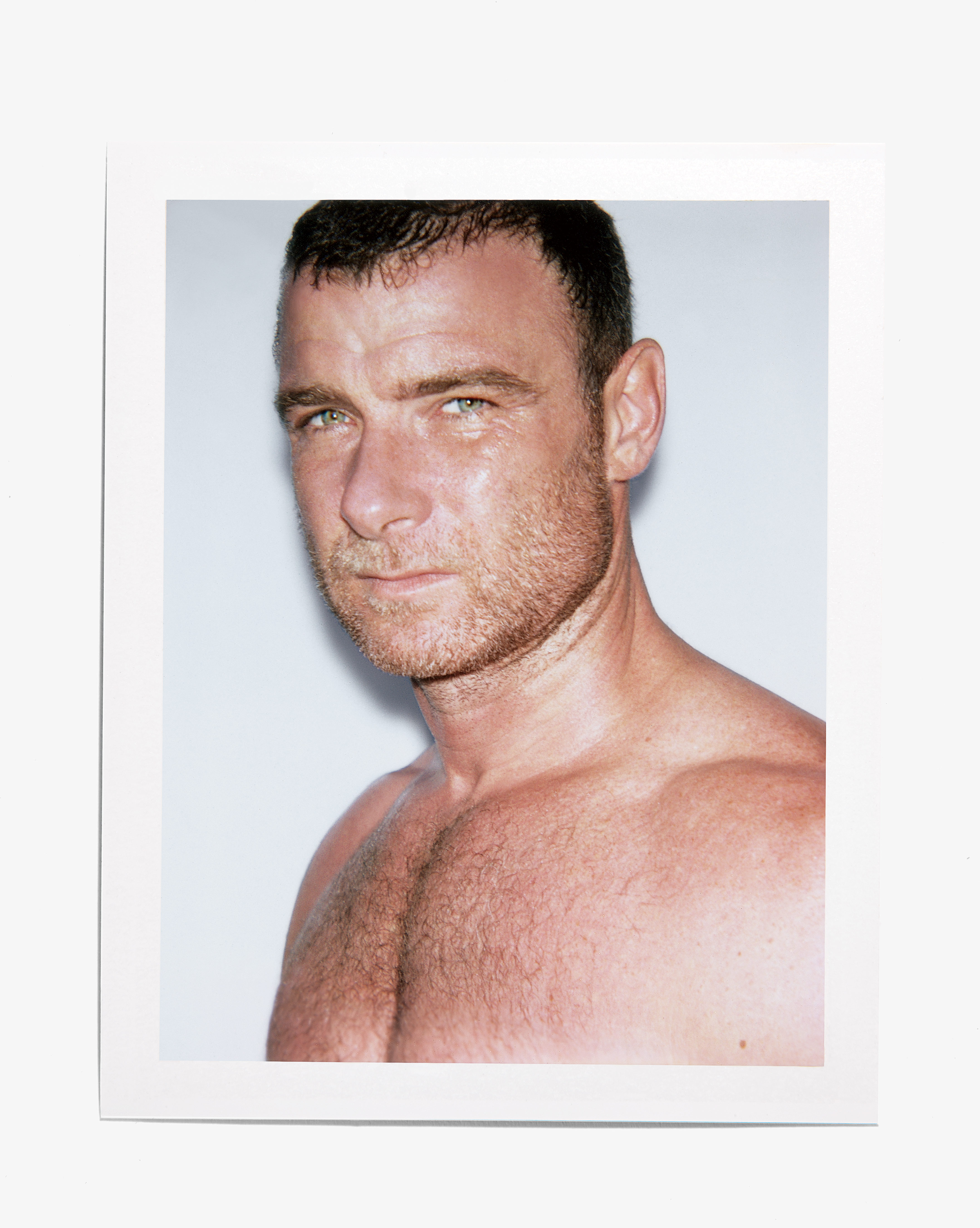 Few Rounds in the Ring With Liev Schreiber  Vulture