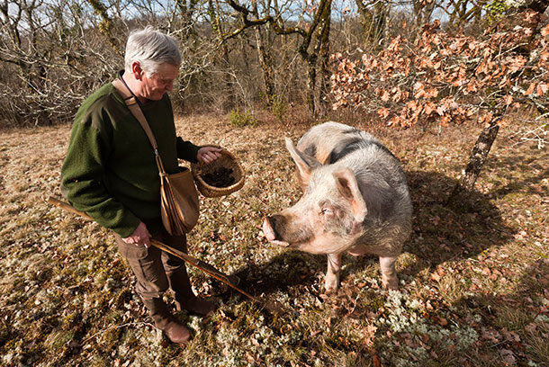 nini-truffle-hunting.jpg