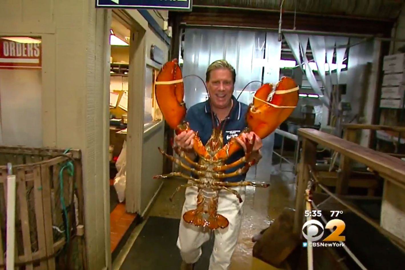 Restaurant Owner Won’t Let Anyone Eat His 23-Pound Lobster1420 x 946