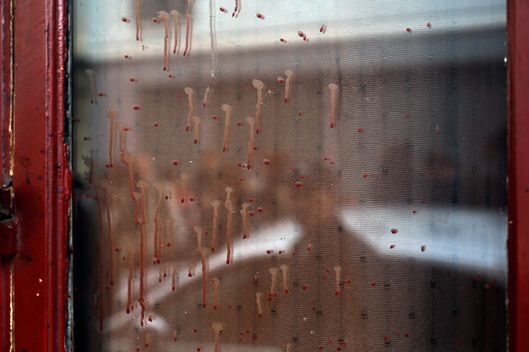 Dried blood can be seen on the window of  the Carillon cafe  in Paris Saturday Nov. 14, 2015, a day after over 120 people were killed  in a series of shooting and explosions.