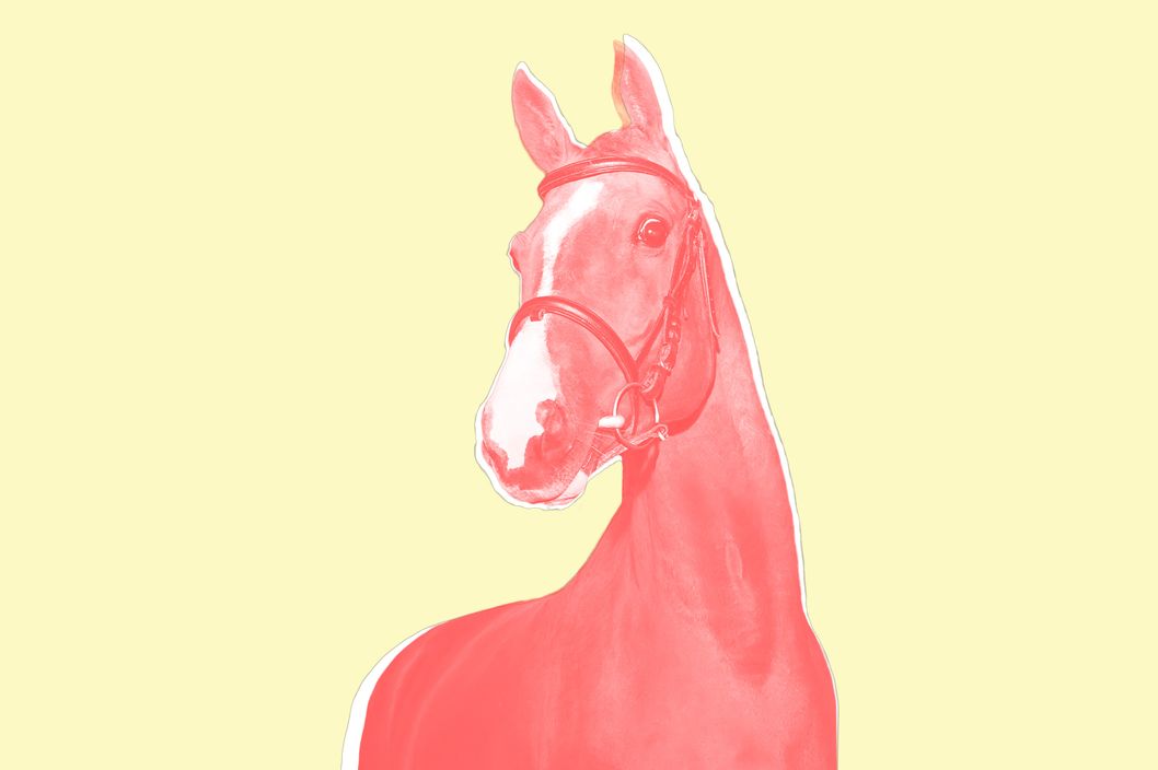 19-horse.w529.h352.2x.jpg
