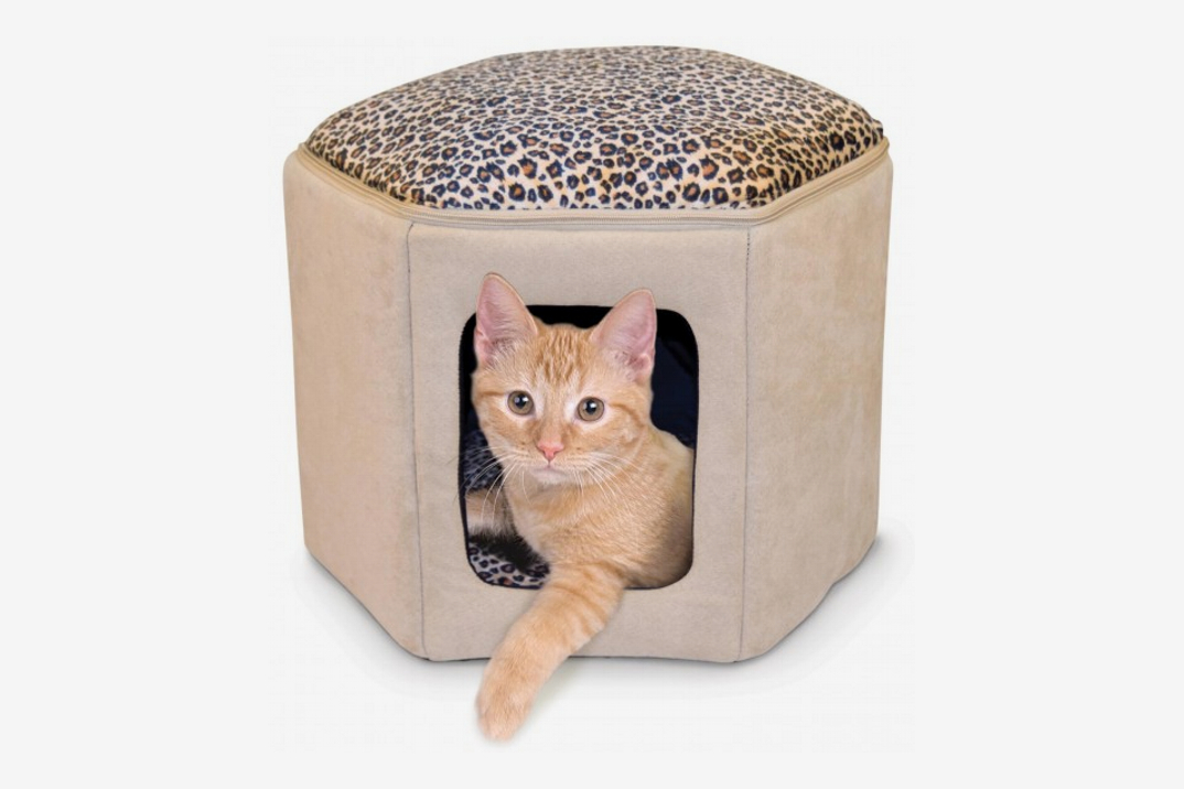 15 Best Cat Houses and Condos 2019