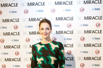 Actress Drew Barrymore