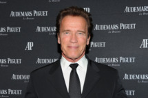 Arnold Schwarzenegger attends Royal Oak 40 Years: From Avant-Garde to Icon at Park Avenue Armory on March 21, 2012 in New York City.