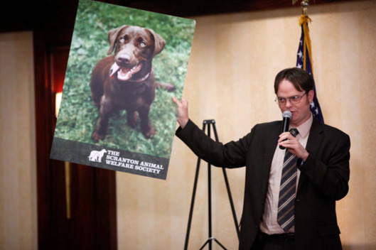 THE OFFICE -- "Fundraiser" Episode 822 -- Pictured: Rainn Wilson as Dwight Schrute.