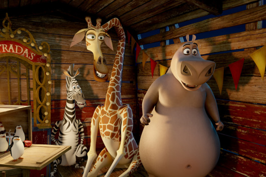 The Penguins, Marty the Zebra (Chris Rock), Melman the Giraffe (David Schwimmer) and Gloria the Hippo (Jada Pinkett Smith) join the circus in DreamWorks Animation's MADAGASCAR 3:?EUROPE'S MOST WANTED