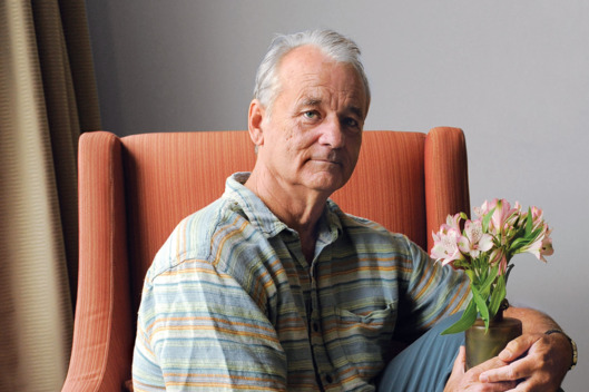 Bill Murray, a cast member in the film "Hyde Park on Hudson," poses for a portrait at the 2012 Toronto Film Festival in Toronto.