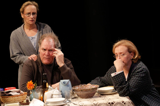 Laila Robins, Jay O. Sanders, and J. Smith-Cameron in Sorry, written and directed by Richard Nelson, a Public Lab production running through November 18 at The Public Theater at Astor Place.