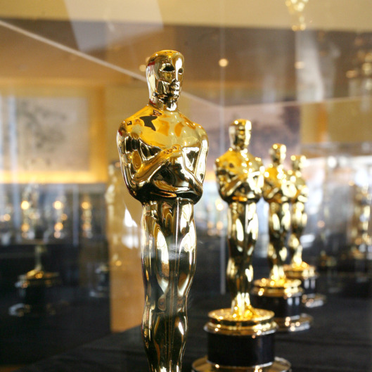 Opening of the exhibition "meet the Oscars" featuring the fifty scar statuettes to be presented at the 80th Academy Awards, 1 February 2008, at the Hollywood and Highland Center in Los Angeles, California.