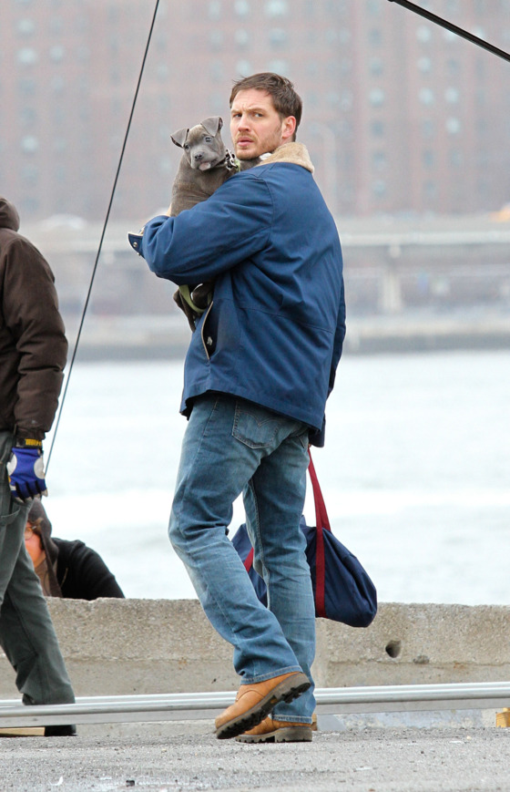 Tom Hardy spotted shooting scenes with a cute puppy for his upcoming movie 'Animal Rescue' in Brooklyn, NYC.<P>Pictured: Tom Hardy<P><B>Ref: SPL509299 110313 </B><BR/>Picture by: Splash News<BR/></P><P><B>Splash News and Pictures</B><BR/>Los Angeles: 310-821-2666<BR/>New York: 212-619-2666<BR/>London: 870-934-2666<BR/>photodesk@splashnews.com<BR/></P> Tom Hardy spotted shooting scenes with a cute puppy for his upcoming movie 'Animal Rescue' in Brooklyn, NYC.<P>Pictured: Tom Hardy<P><B>Ref: SPL509299 110313 </B><BR/>Picture by: Splash News<BR/></P><P><B>Splash News and Pictures</B><BR/>Los Angeles: 310-821-2666<BR/>New York: 212-619-2666<BR/>London: 870-934-2666<BR/>photodesk@splashnews.com<BR/></P>