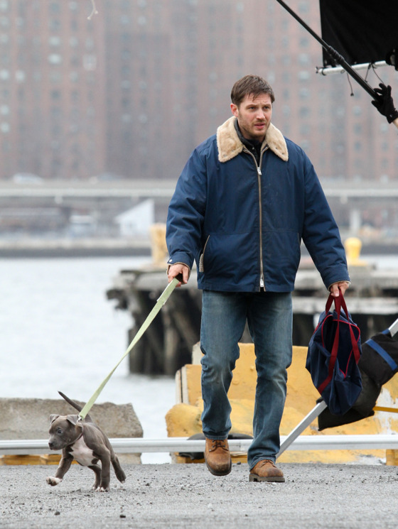 Tom Hardy spotted shooting scenes with a cute puppy for his upcoming movie 'Animal Rescue' in Brooklyn, NYC.
<P>
Pictured: Tom Hardy
<P><B>Ref: SPL509299 110313 </B><BR/>
Picture by: Splash News<BR/>
</P><P>
<B>Splash News and Pictures</B><BR/>
Los Angeles: 310-821-2666<BR/>
New York: 212-619-2666<BR/>
London: 870-934-2666<BR/>
photodesk@splashnews.com<BR/>
</P> Tom Hardy spotted shooting scenes with a cute puppy for his upcoming movie 'Animal Rescue' in Brooklyn, NYC.
<P>
Pictured: Tom Hardy
<P><B>Ref: SPL509299 110313 </B><BR/>
Picture by: Splash News<BR/>
</P><P>
<B>Splash News and Pictures</B><BR/>
Los Angeles: 310-821-2666<BR/>
New York: 212-619-2666<BR/>
London: 870-934-2666<BR/>
photodesk@splashnews.com<BR/>
</P>