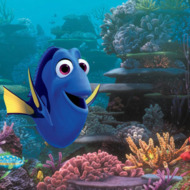 (Pictured) DORY. (Pictured) DORY.