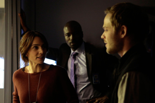 THE FOLLOWING