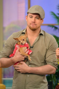 MIAMI, FL - JUNE 24: Channing Tatum appears On Univisions Despierta America to promote film "White House Down" at Univision Headquarters on June 24, 2013 in Miami, Florida. (Photo by Gustavo Caballero/Getty Images) MIAMI, FL - JUNE 24: Channing Tatum appears On Univisions Despierta America to promote film "White House Down" at Univision Headquarters on June 24, 2013 in Miami, Florida. (Photo by Gustavo Caballero/Getty Images)