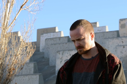 Jesse Pinkman (Aaron Paul) - Breaking Bad _ Season 5, Episode 11 - Photo Credit: Ursula Coyote/AMC
