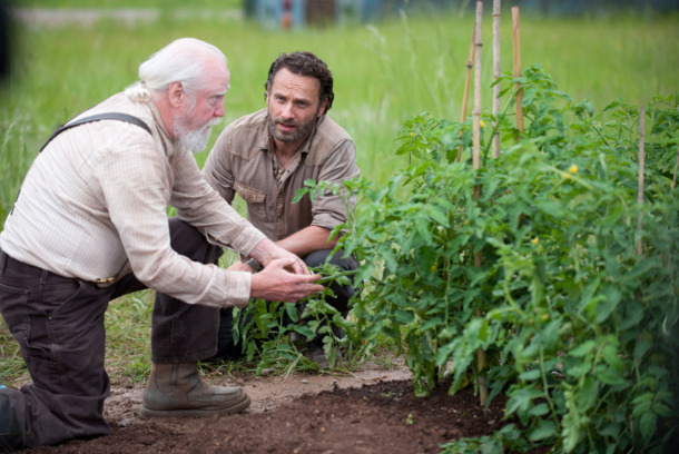 Hershel Greene (Scott Wilson) and Rick Grimes (Andrew Lincoln) - The Walking Dead Hershel Greene (Scott Wilson) and Rick Grimes (Andrew Lincoln) - The Walking Dead