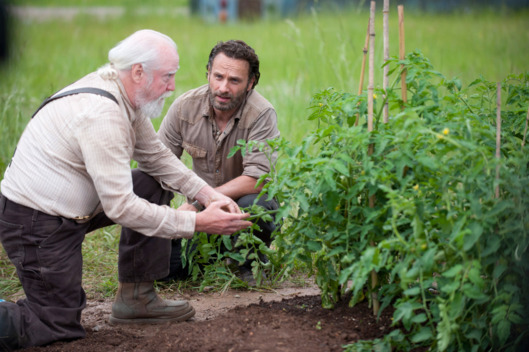 Hershel Greene (Scott Wilson) and Rick Grimes (Andrew Lincoln) - The Walking Dead