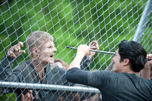 Walker and Glenn (Steven Yeun) - The Walking Dead