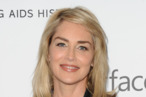 HOLLYWOOD, CA - DECEMBER 12: Actress Sharon Stone attends the amfAR Inspiration Gala at Milk Studios on December 12, 2013 in Hollywood, California. (Photo by Jason LaVeris/FilmMagic) HOLLYWOOD, CA - DECEMBER 12: Actress Sharon Stone attends the amfAR Inspiration Gala at Milk Studios on December 12, 2013 in Hollywood, California. (Photo by Jason LaVeris/FilmMagic)