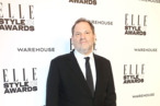 LONDON, ENGLAND - FEBRUARY 18: Harvey Weinstein attends the Elle Style Awards 2014 at one Embankment on February 18, 2014 in London, England. (Photo by Tim P. Whitby/Getty Images) LONDON, ENGLAND - FEBRUARY 18: Harvey Weinstein attends the Elle Style Awards 2014 at one Embankment on February 18, 2014 in London, England. (Photo by Tim P. Whitby/Getty Images)