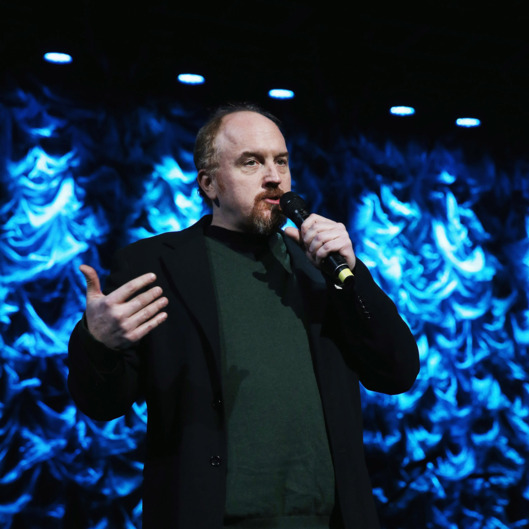 Louis C.K. speaks onstage at "Howard Stern's Birthday Bash" presented by SiriusXM, produced by Howard Stern Productions at Hammerstein Ballroom on January 31, 2014 in New York City.