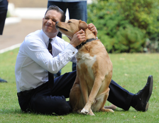 Actor Tom Hardy and his dog off set during the filming of 'Legend' in East London.
<P>
Pictured: Tom Hardy
<P><B>Ref: SPL801641 150714 </B><BR/>
Picture by: Gotcha Images / Splash News<BR/>
</P><P>
<B>Splash News and Pictures</B><BR/>
Los Angeles: 310-821-2666<BR/>
New York: 212-619-2666<BR/>
London: 870-934-2666<BR/>
photodesk@splashnews.com<BR/>
</P>