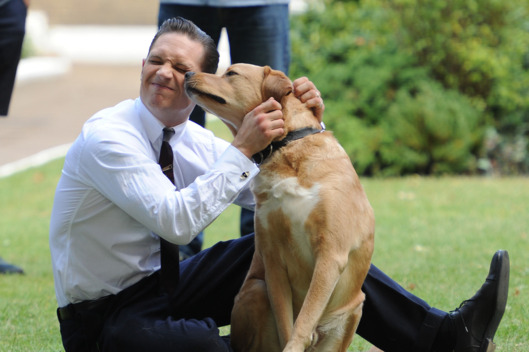 Actor Tom Hardy and his dog off set during the filming of 'Legend' in East London.
<P>
Pictured: Tom Hardy
<P><B>Ref: SPL801641 150714 </B><BR/>
Picture by: Gotcha Images / Splash News<BR/>
</P><P>
<B>Splash News and Pictures</B><BR/>
Los Angeles: 310-821-2666<BR/>
New York: 212-619-2666<BR/>
London: 870-934-2666<BR/>
photodesk@splashnews.com<BR/>
</P>