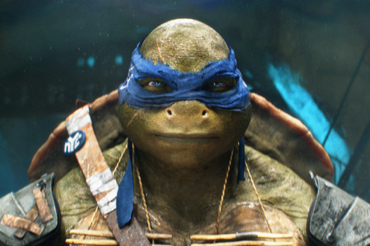 Leonardo in TEENAGE MUTANT NINJA TURTLES, from Paramount Pictures and Nickelodeon Movies.