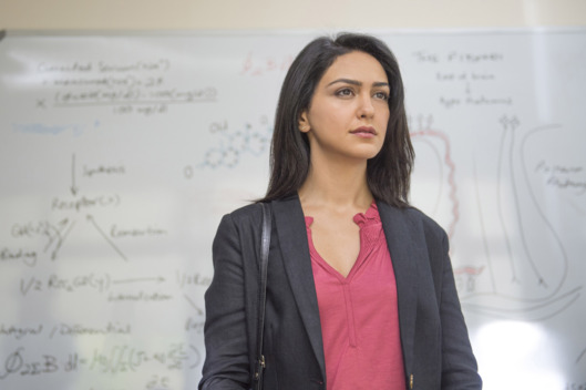 Nazanin Boniadi as Fara in Homeland (Season 4, Episode 3). - Photo: Joe Alblas/SHOWTIME - Photo ID: homeland_403_07675.R