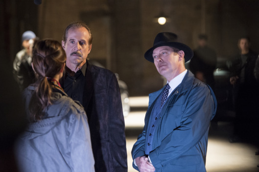 THE BLACKLIST -- "The Decembrist" Episode 208 -- Pictured: (l-r) Peter Stormare as Berlin, James Spader as Red Reddington -- (Photo by: David Giesbrecht/NBC)
