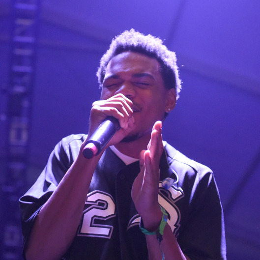 2014 Bonnaroo Music & Arts Festival - Day 2