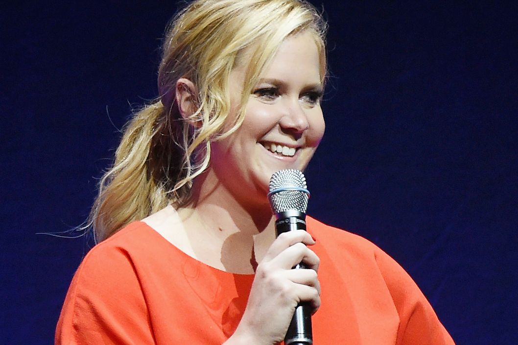 The Trainwreck Comedy Tour Explains Amy Schumer Vulture 