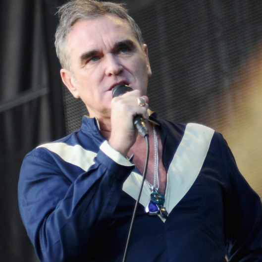 Firefly Music Festival 2015 - Day 2