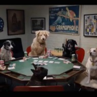 The Daily Show Gave Us a Goodfellas-Inspired Look Behind the Scenes