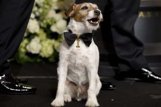 84rd Annual Academy Awards Red Carpet