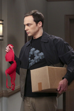 The Big Bang Theory Recap: It Was Just a Dream