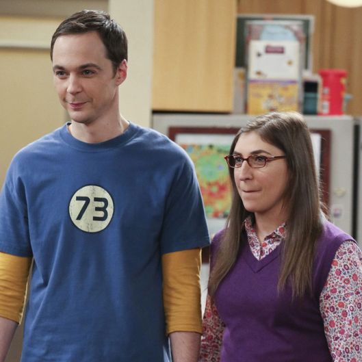 Image result for sheldon and amy