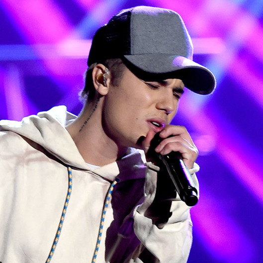 2015 American Music Awards - Show
