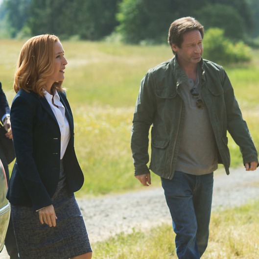 THE X-FILES: L-R: Guest star Joel McHale, Gillian Anderson and David Duchovny.