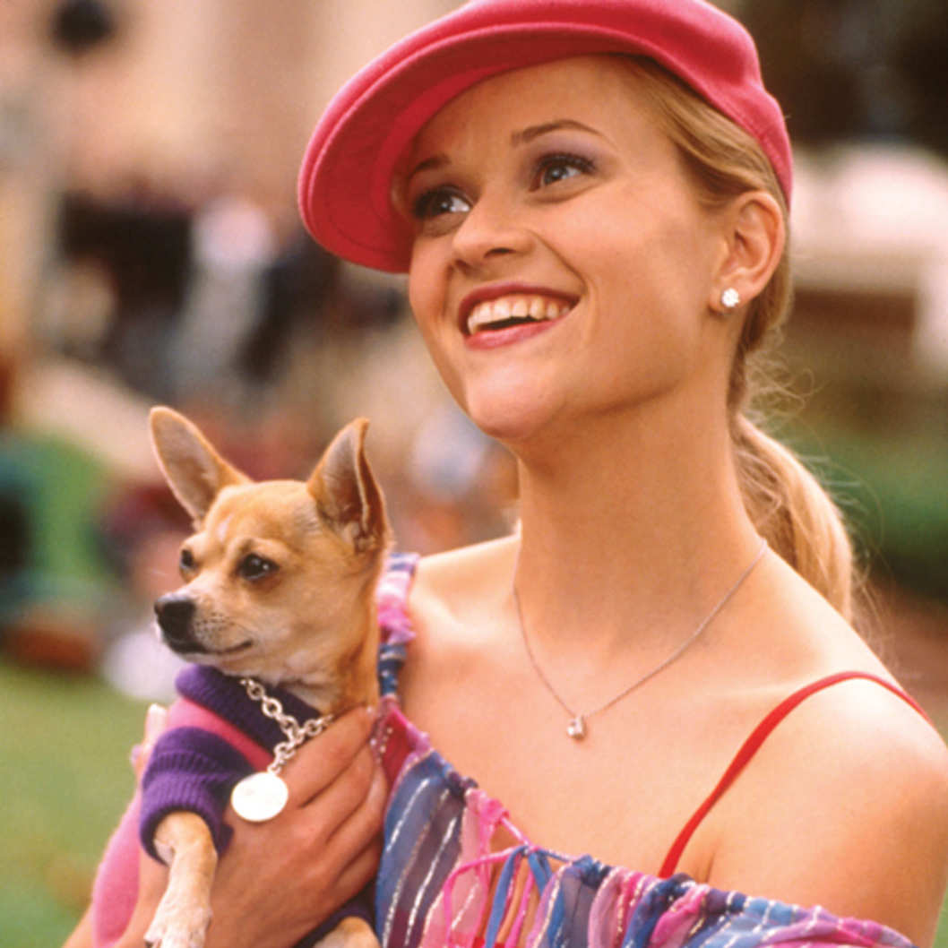 Legally Blonde Video Essay