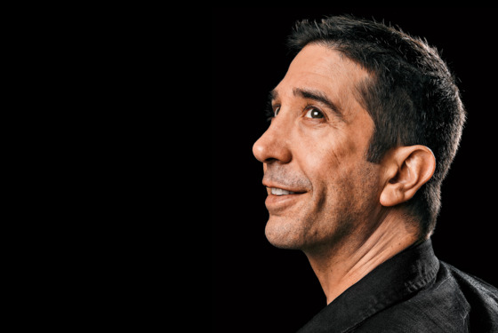 David Schwimmer Isn't on a Break Anymore
