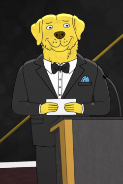BoJack Horseman Recap: A Fetish for Sadness