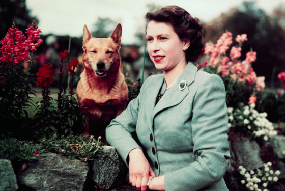Why Should I Care About Queen Elizabeth II, Star of Netflix's The Crown?