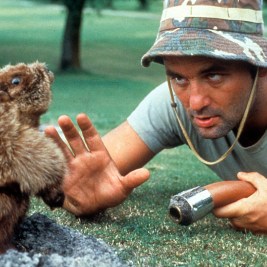 Bill Murray Opening Caddyshack Bar In Chicago Vulture