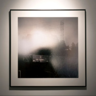 Wildfires and Dead Palm Trees Haunt the L.A. Dream in Zoe Crosher’s New Show