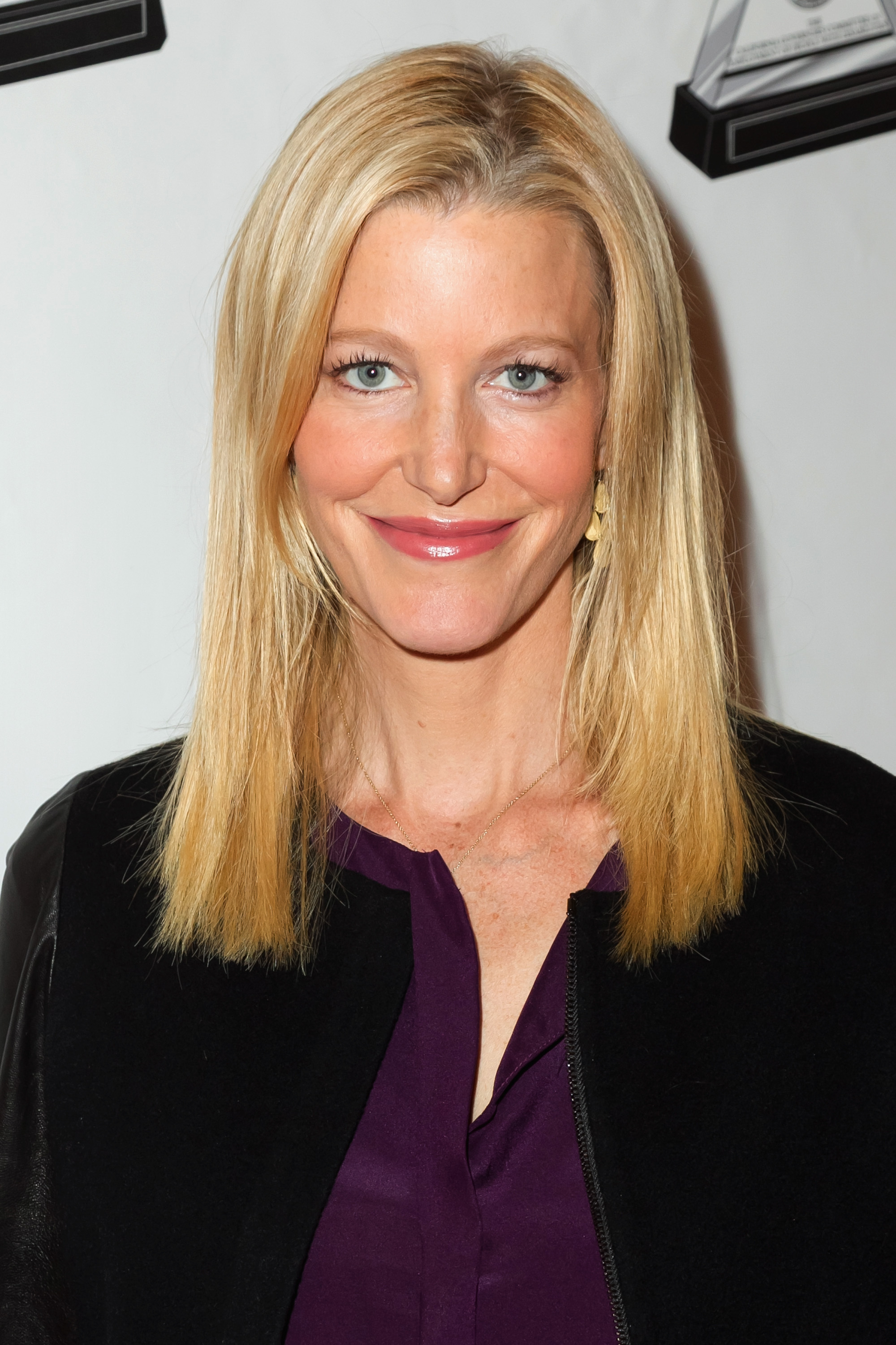 Anna Gunn sully