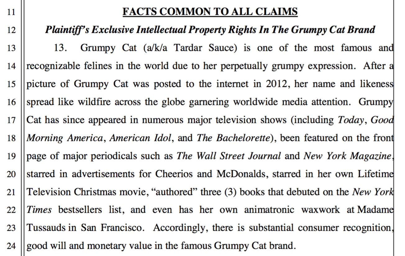 Bad Grumpy Cat Owners Sue Bad Grumpy Cat Licensees