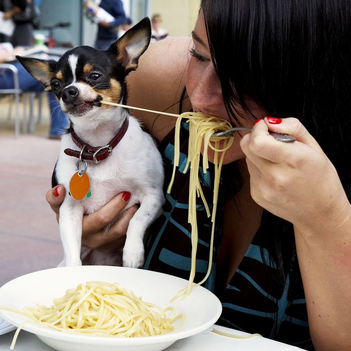The Department of Health Doesn’t Want Dogs on Restaurant Patios