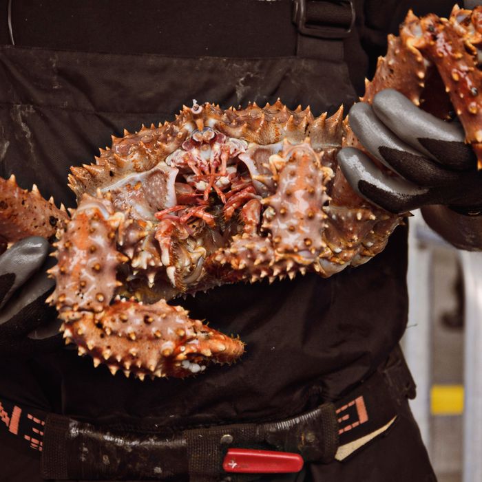 Congress Acts to Create 'Golden King' Crab America Deserves